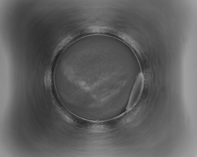 X0000113140581200909110936