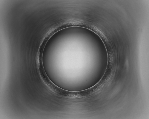 X0000113140582200909110936