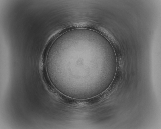 X0000113140583200909110936