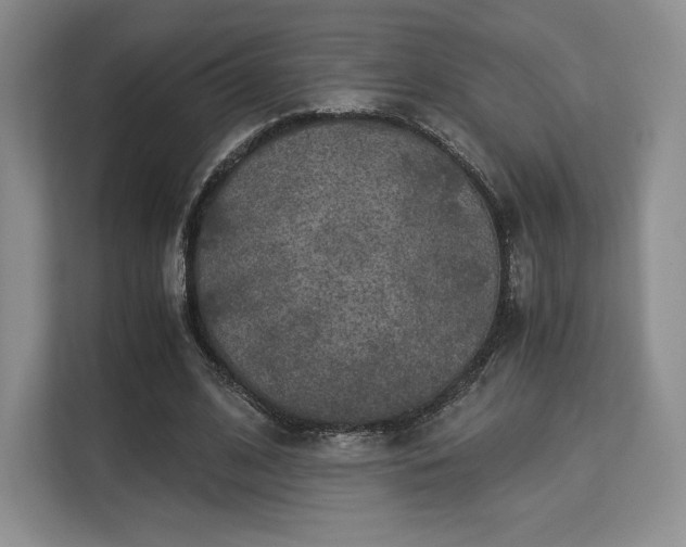 X0000113140584200909110935