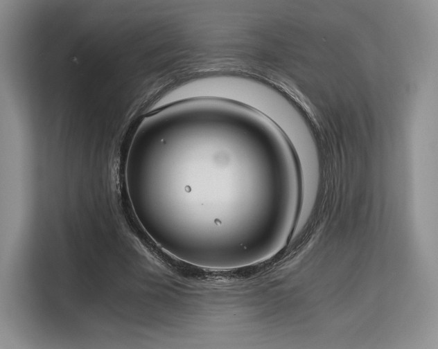 X0000113140585200909110935