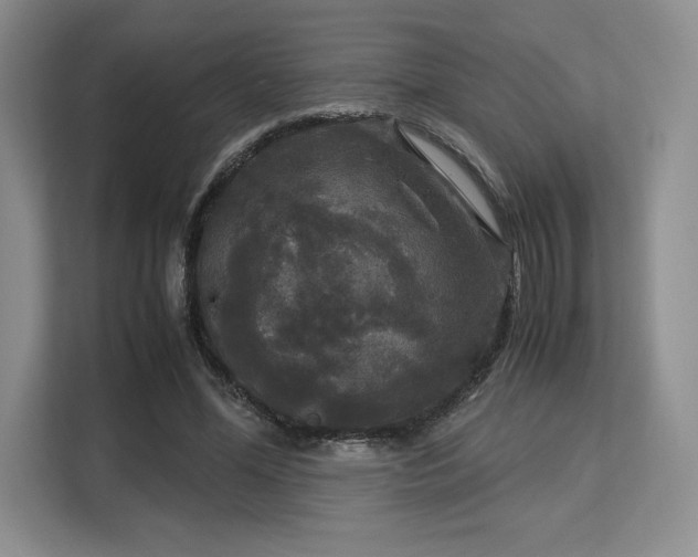 X0000113140588200909110935