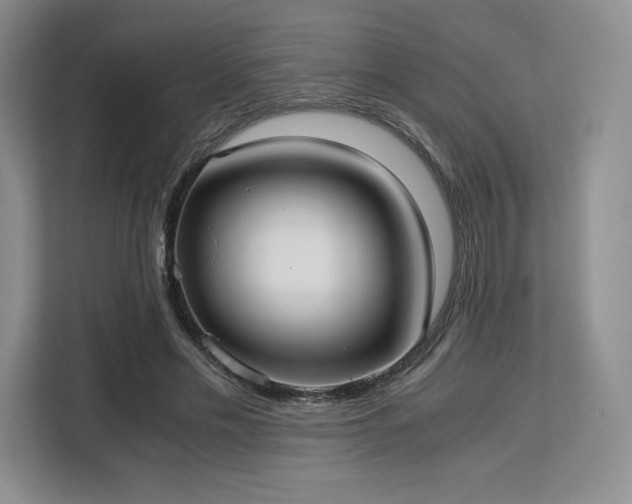 X0000113140589200909110935