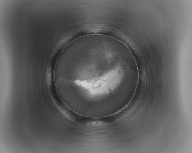 X0000113140590200909110935