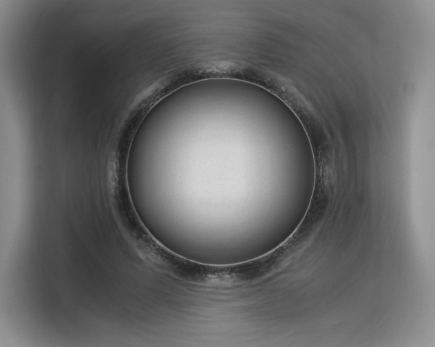 X0000113140591200909110935