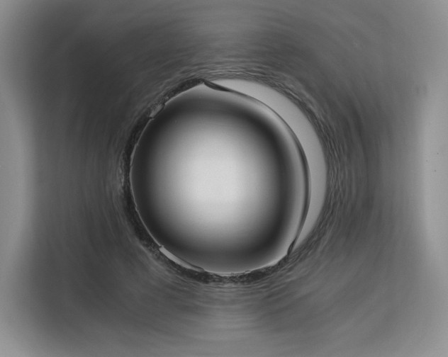 X0000113140593200909110935