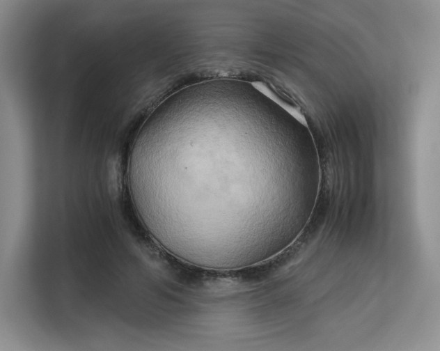 X0000113140594200909110935