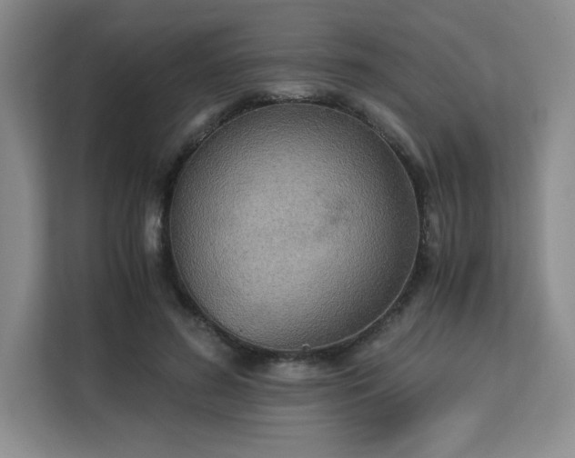 X0000113140596200909110935