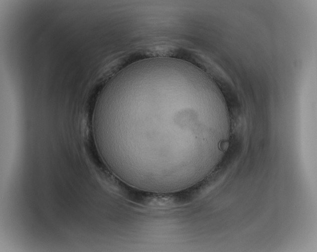 X0000113140599200909110935