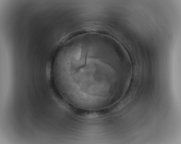 X0000113140600200909110935