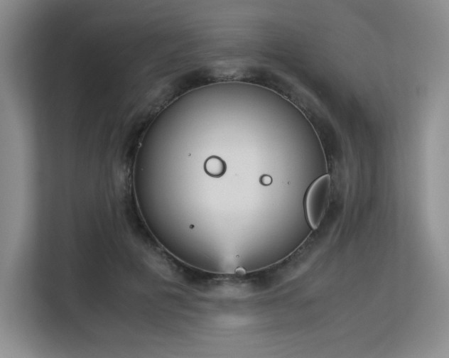 X0000113140601200909110935