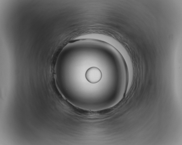 X0000113140605200909110935