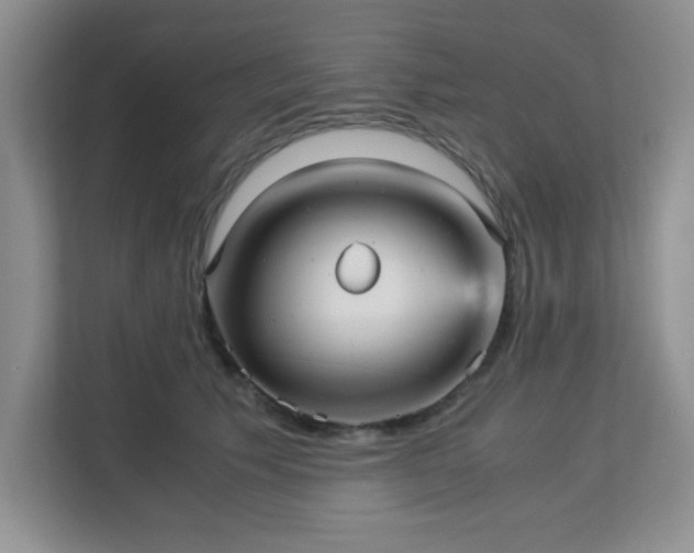 X0000113140609200909110935