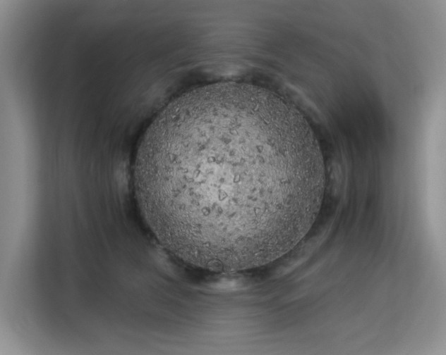 X0000113140612200909110935