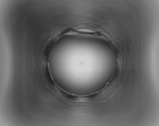 X0000113140617200909110935