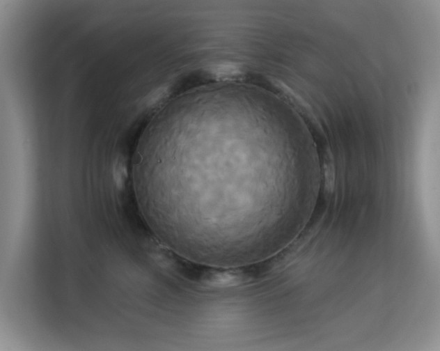 X0000113140618200909110935