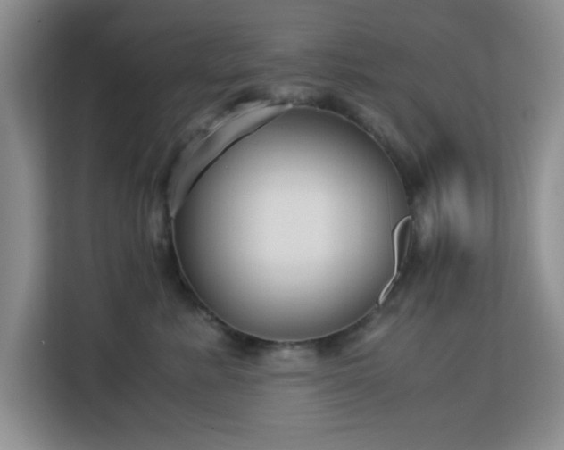 X0000113140619200909110935