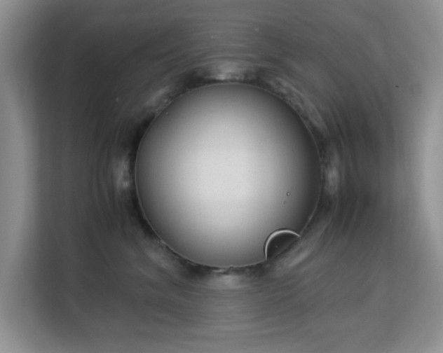 X0000113140620200909110935