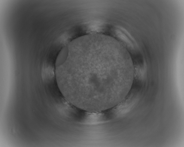 X0000113140621200909110935