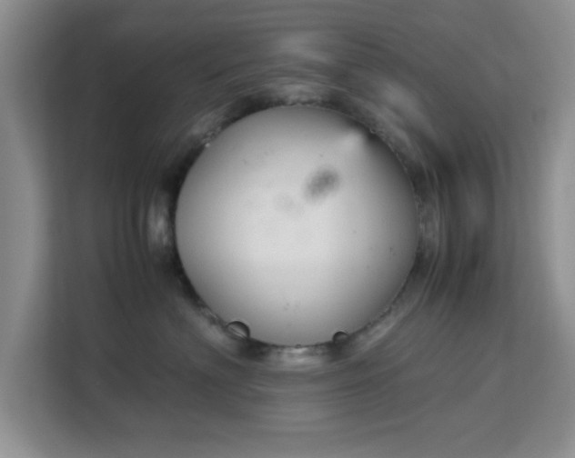 X0000113140622200909110935