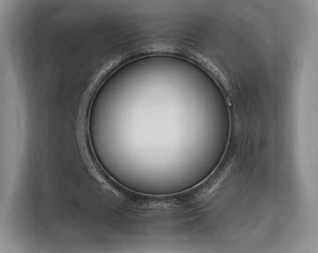 X0000113140625200909110934