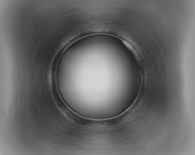 X0000113140626200909110934