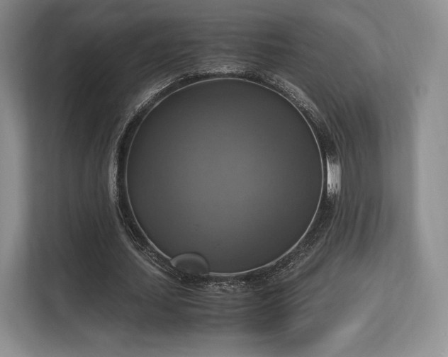 X0000113140627200909110934