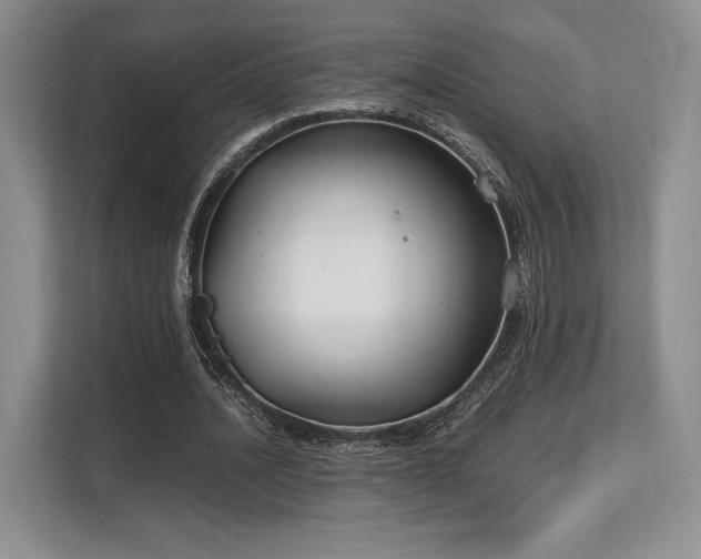 X0000113140628200909110934