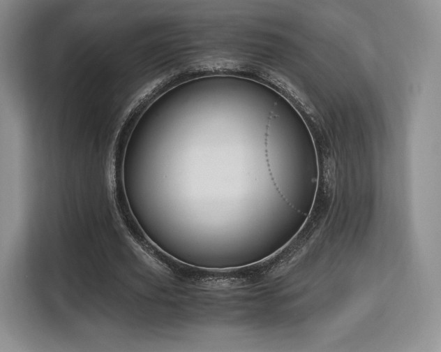 X0000113140629200909110934