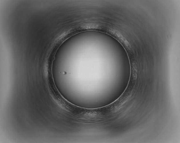 X0000113140631200909110934