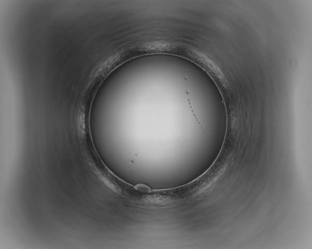 X0000113140633200909110934