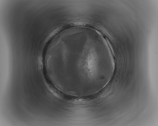 X0000113140634200909110934