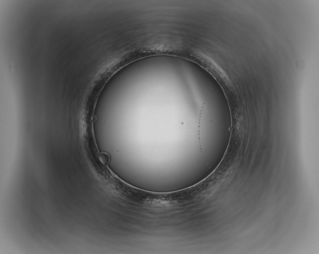 X0000113140635200909110934