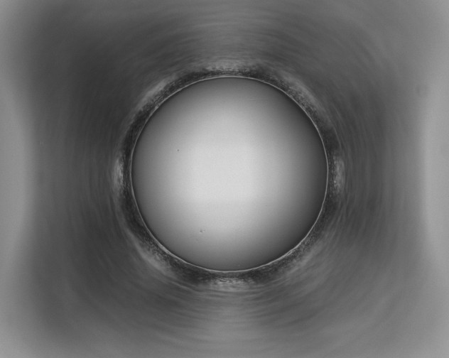 X0000113140636200909110934