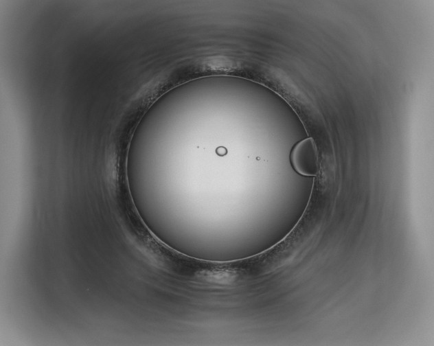 X0000113140639200909110935