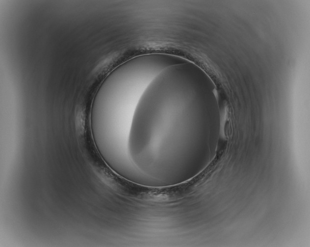 X0000113140640200909110935