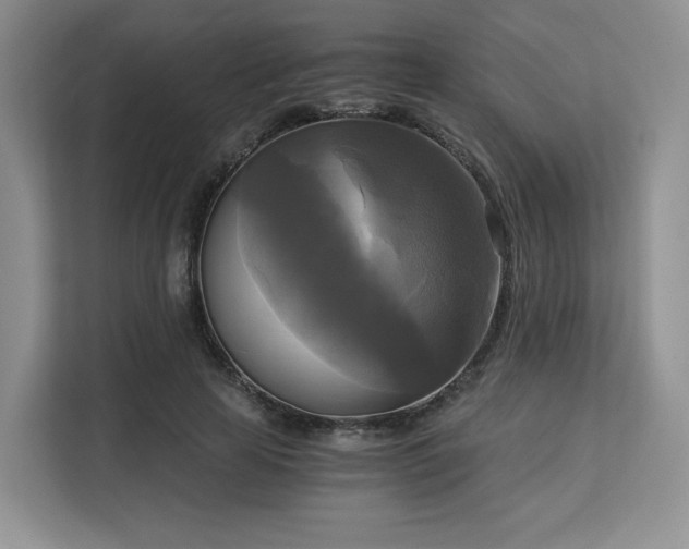 X0000113140641200909110935