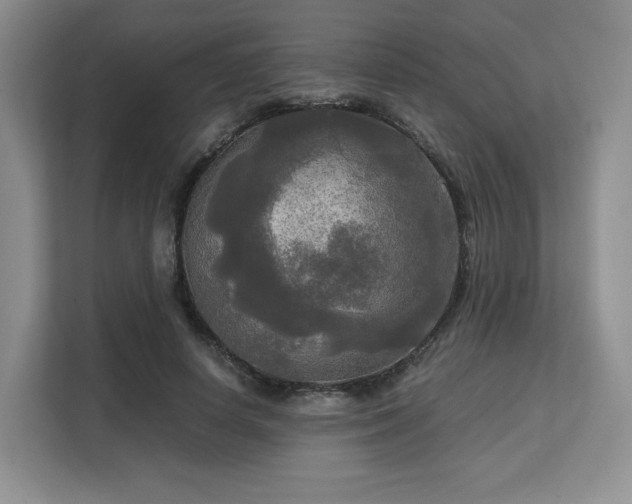 X0000113140642200909110935