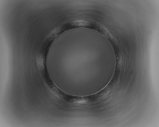 X0000113140643200909110935