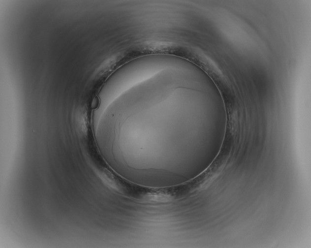 X0000113140644200909110935