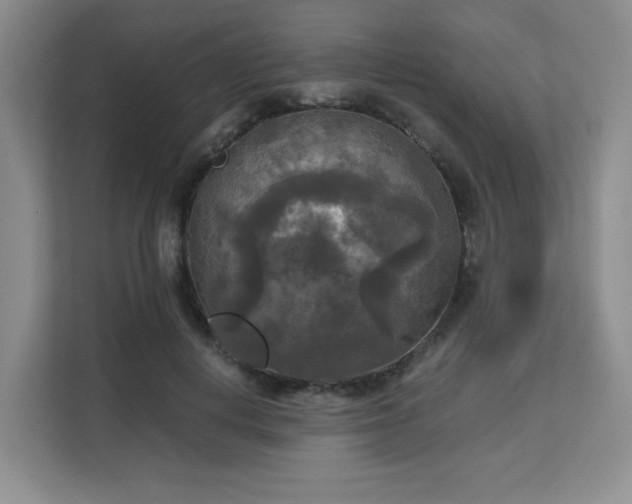 X0000113140648200909110935