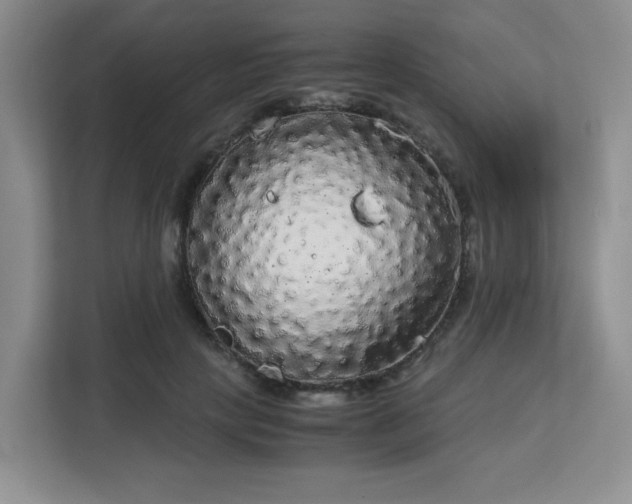 X0000113140649200909110935