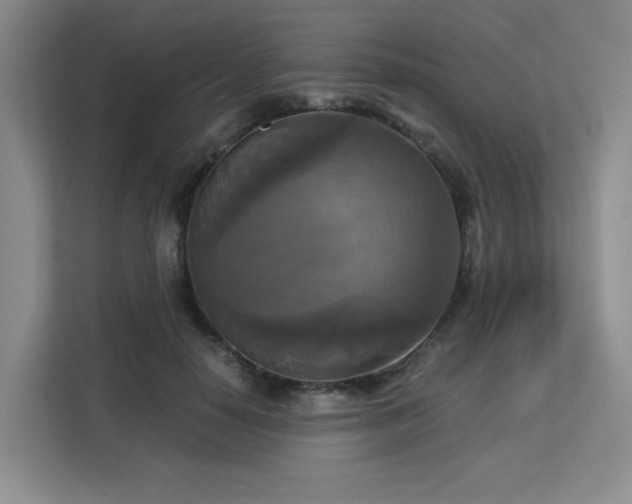 X0000113140650200909110935