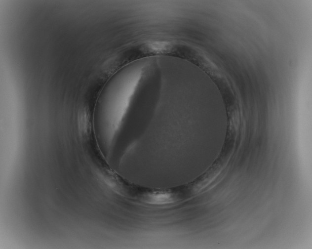 X0000113140651200909110935