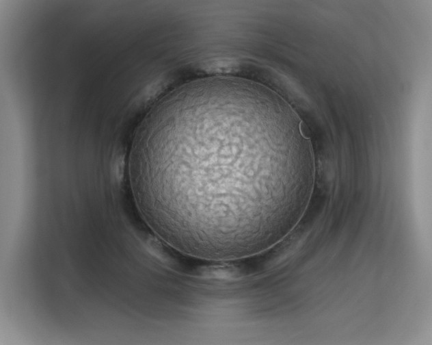 X0000113140652200909110935