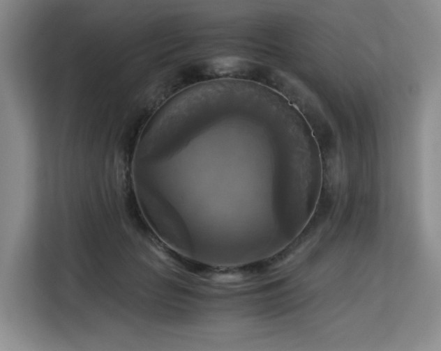 X0000113140653200909110935