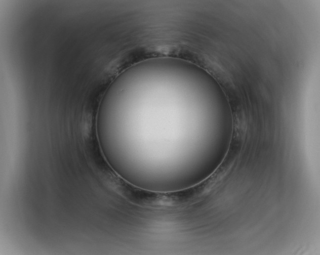 X0000113140656200909110935