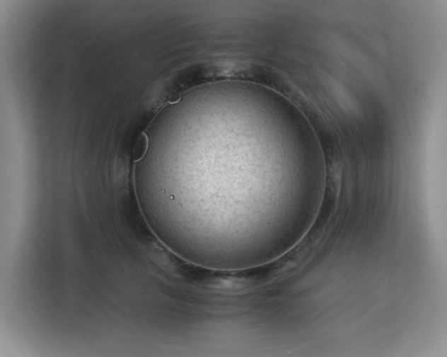 X0000113140657200909110935