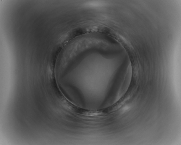 X0000113140661200909110935