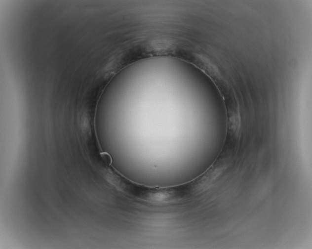 X0000113140662200909110935